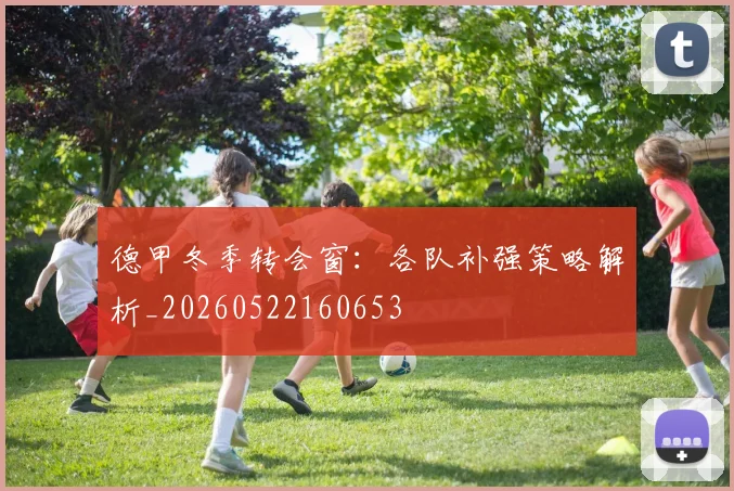德甲冬季转会窗:各队补强策略解析_20260522160653