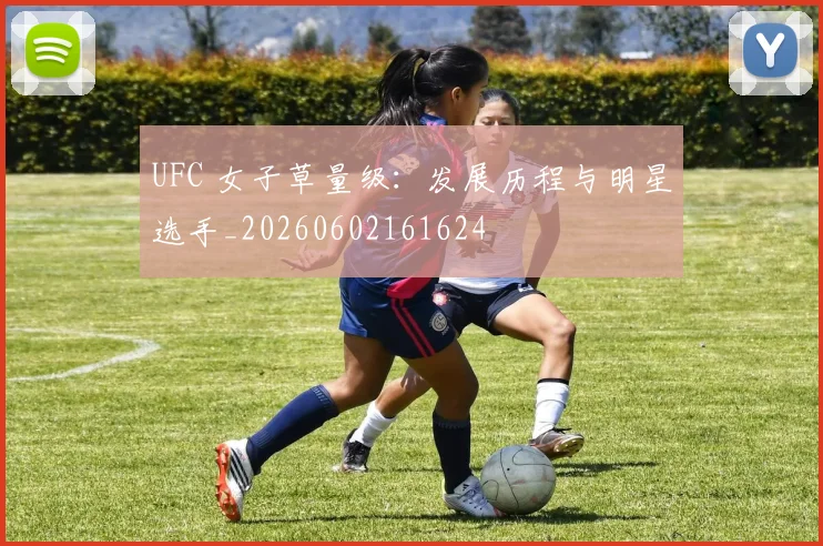 UFC 女子草量级：发展历程与明星选手_20260602161624