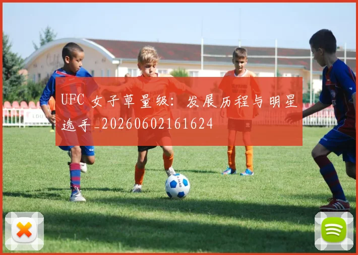 UFC 女子草量级：发展历程与明星选手_20260602161624